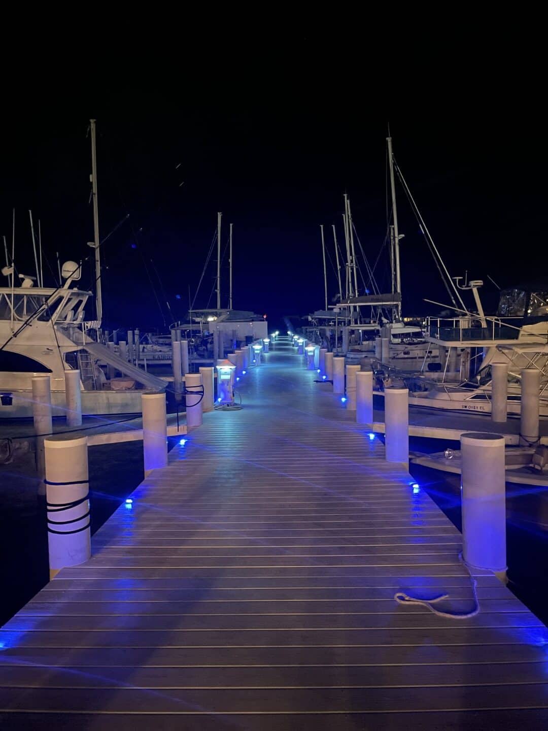 A dock lined with boats at night, illuminated by blue lights along the walkway and posts.